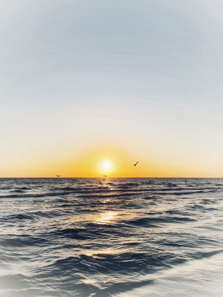 Sonnenaufgang über weich fließendem Meer mit vorbeifliegenden Möwen.