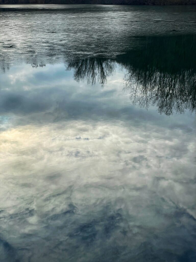 Spiegelung von Wolken und kahlen Bäumen auf der ruhigen, winterlichen Oberfläche eines Sees.